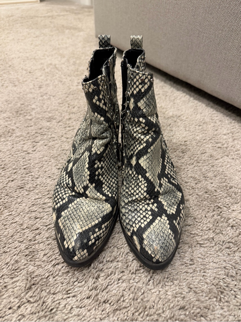 Circus by Sam Edelman Snake-Print Ankle Booties in Black and Cream